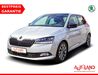 Skoda Fabia schoena-kolpien