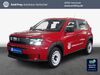 Fiat Grande Panda hann