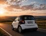 Smart Andere trechtingshausen