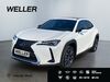 Lexus UX stumsdorf