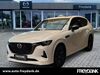 Mazda CX-60 Niederer Fläming