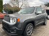 Jeep Renegade niederhosenbach