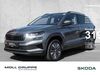 Skoda Karoq niederzissen
