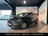 Ford S-Max heupelzen