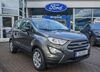Ford EcoSport schwallungen