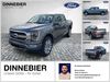 Ford F 150 saalow