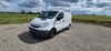 Opel Vivaro enzkloesterle