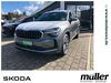 Skoda Kodiaq schoena-kolpien