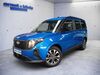 Ford Tourneo Courier grafenhausen