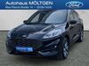 Ford Kuga kasseburg