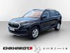 Skoda Kodiaq roehrig