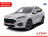Ford Kuga wattmannshagen