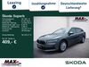 Skoda Superb ockenheim
