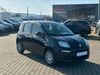 Fiat Panda walhausen