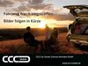 Suzuki Swift hueckeswagen