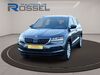 Skoda Karoq dankmarshausen