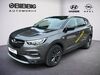 Opel Grandland (X) rabenau