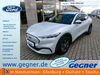 Ford Mustang Mach-E kreis|suedliche-weinstrasse
