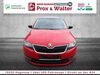 Skoda Rapid picher