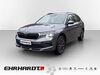 Skoda Kamiq roehrig