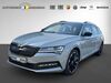 Skoda Superb heupelzen