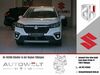 Suzuki (SX4) S-Cross aichtal