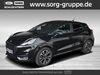 Ford Puma roedelmaier