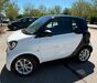 Smart ForTwo tegernsee