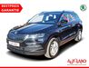 Skoda Karoq kreis|suedliche-weinstrasse