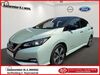 Nissan Leaf Saalow