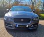 Jaguar XE walhausen
