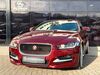 Jaguar XE irrhausen