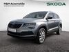 Skoda Karoq unterluess