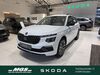Skoda Kamiq kreis|tuebingen