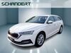Skoda Octavia kreis|rheingau-taunus-kreis