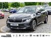Skoda Kamiq ober-hilbersheim