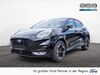 Ford Puma bueddenstedt