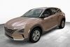 Hyundai NEXO trechtingshausen