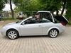 Renault Megane Herxheim bei Landau