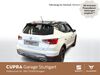 Seat Arona schenkenzell