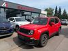 Jeep Renegade niederhosenbach