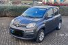 Fiat New Panda walhausen