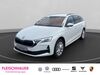 Skoda Octavia rosenkopf