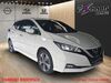 Nissan Leaf ruttersdorf-lotschen