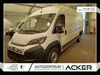 Fiat Ducato nieder-hilbersheim