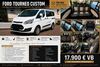 Ford Tourneo Custom bueddenstedt