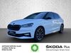 Skoda Fabia kreis|tuebingen
