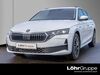 Skoda Octavia wiersdorf