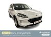 Ford Kuga gruenewald
