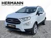 Ford EcoSport dankmarshausen